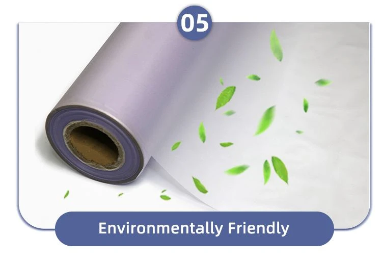 PVC Window Film PVC Window Film